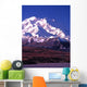 vertical image of mt mckinley (denali) in alaska Wall Mural