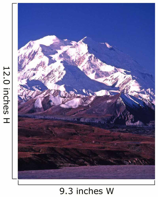 Vertical Image Mt McKinley Wall Decal