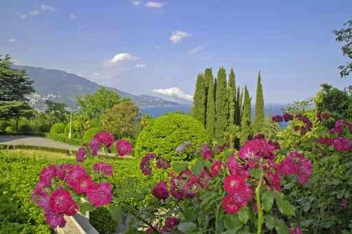 Palastgarten Von Livadija Ii Wall Decal