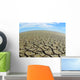 Cracked Desert Ground Wall Decal