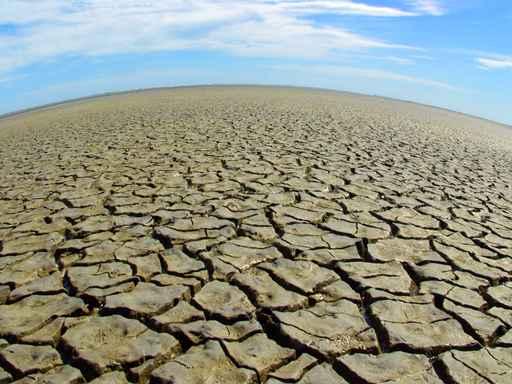 Cracked Desert Ground Wall Decal