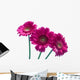 Pink Wall Mural