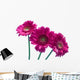 Pink Wall Mural