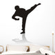 Silhouette of Martial Arts Wall Decal