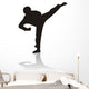 Silhouette of Martial Arts Wall Decal