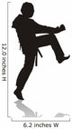 silhouette of martial arts Wall Decal