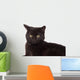 Face Black Cat Wall Decal