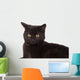 Face Black Cat Wall Decal