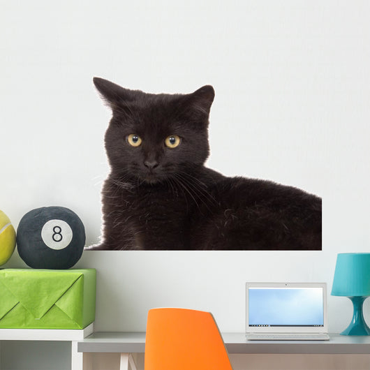Face Black Cat Wall Decal