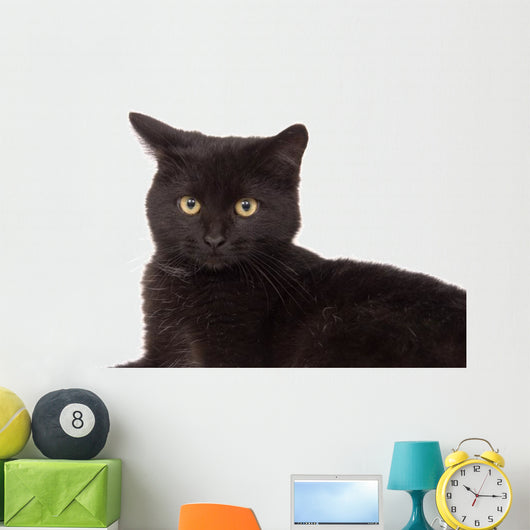 Face Black Cat Wall Decal
