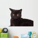 Face Black Cat Wall Decal