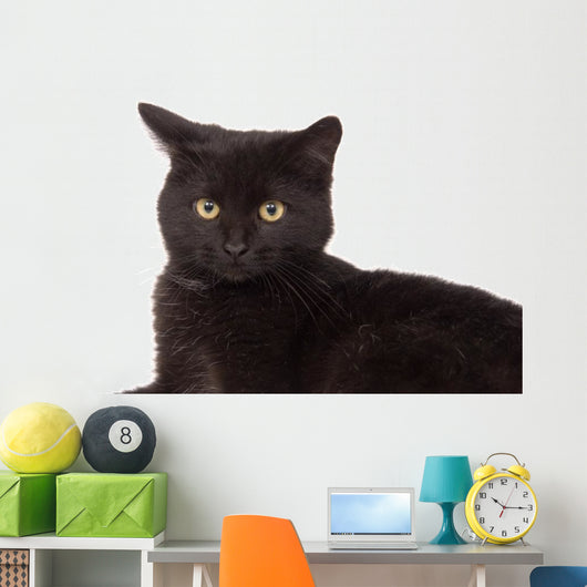 Face Black Cat Wall Decal