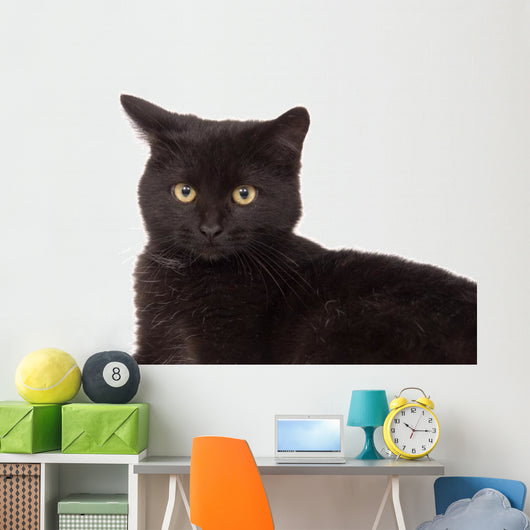 Face Black Cat Wall Decal