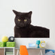 Face Black Cat Wall Decal