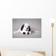 Little Landseer Puppy with