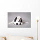 Little Landseer Puppy with