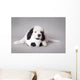 Little Landseer Puppy with