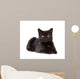 Black Cat Laying down Wall Decal