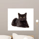 Black Cat Laying down Wall Decal