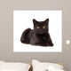 Black Cat Laying down Wall Decal