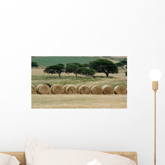 Taglio Del Fieno Wall Decal