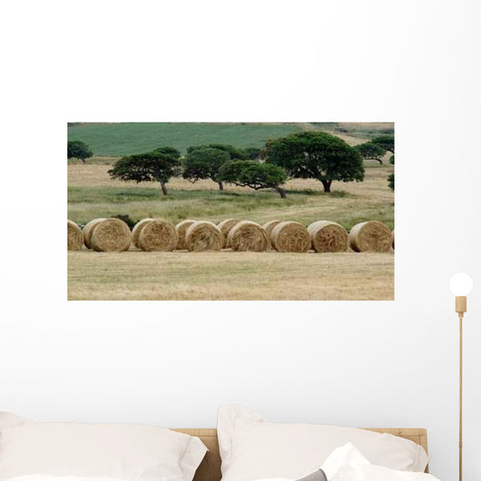 Taglio Del Fieno Wall Decal