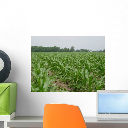 Corn Field 4 Wall Decal