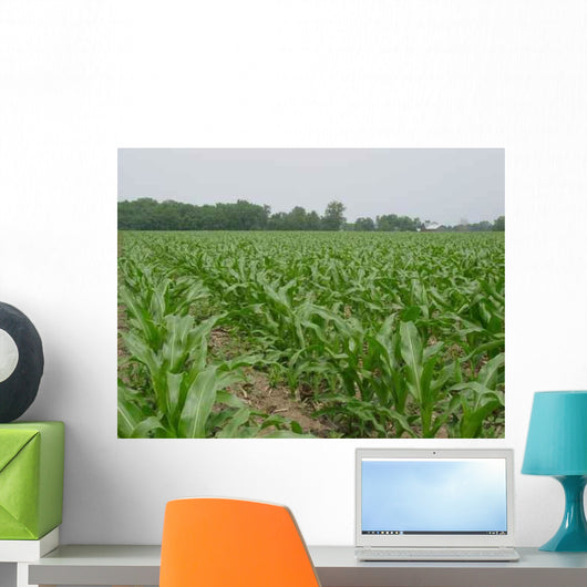 Corn Field 4 Wall Decal