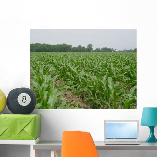 Corn Field 4 Wall Decal