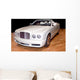 Luxury Convertible Wall Mural