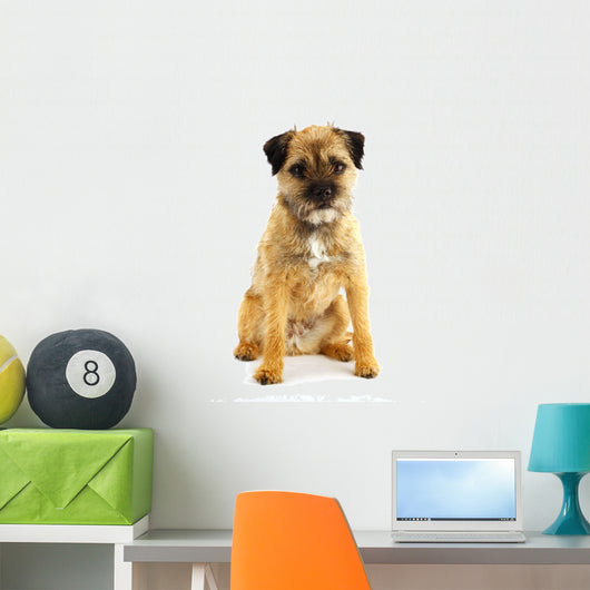 english border terrier Wall Decal