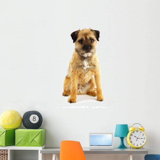 english border terrier Wall Decal