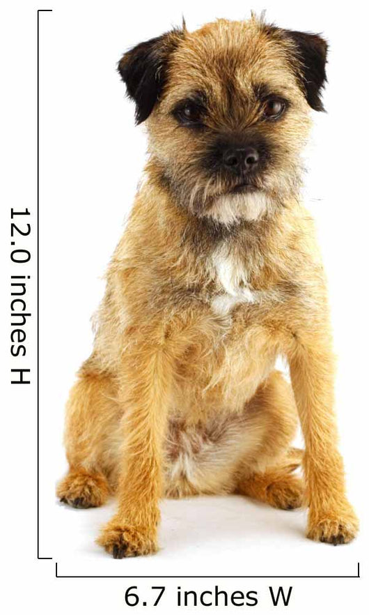 english border terrier Wall Decal