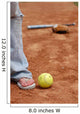 Flip Flops and Softball (close Up) Wall Mural