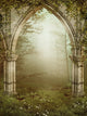 Gothic Ruins Wshodz Cego