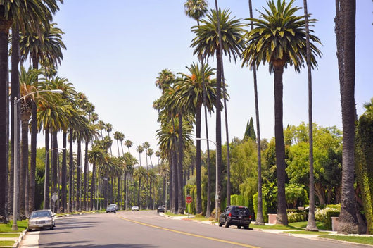 Beverly Hills Los Angeles