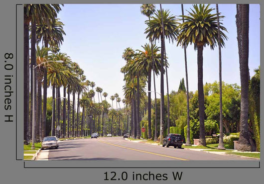 Beverly Hills Los Angeles