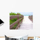 Beach Boardwalk Wall Decal