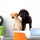 Two Cute Labrador Puppies Wall Decal