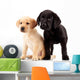 Two Cute Labrador Puppies Wall Decal