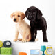 Two Cute Labrador Puppies Wall Decal
