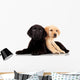 Two Cute Labrador Puppies