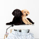Two Cute Labrador Puppies