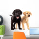 Two Cute Labrador Puppies Wall Decal