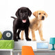 Two Cute Labrador Puppies Wall Decal