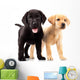 Two Cute Labrador Puppies Wall Decal