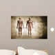 Human Body