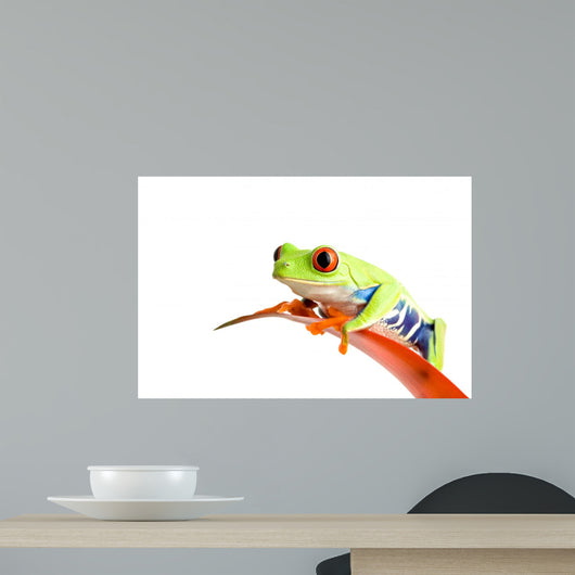 Frog Guzmania Wall Decal