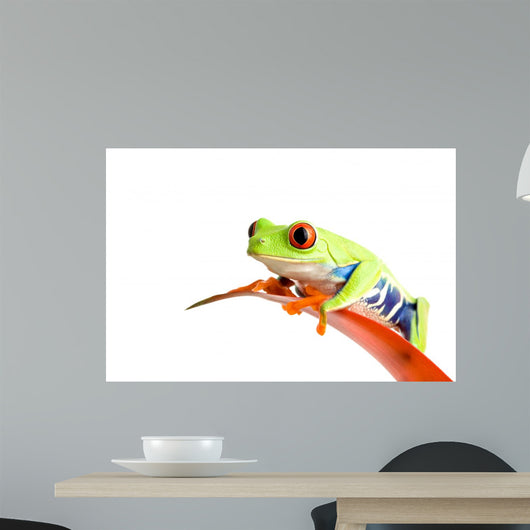 Frog Guzmania Wall Decal