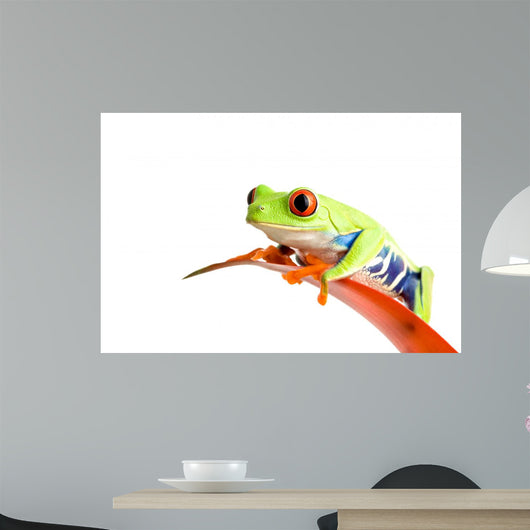 Frog Guzmania Wall Decal